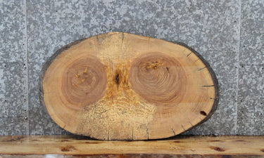 Maple Live Edge Wood Slab, Oval Shaped Tree Slice 6461